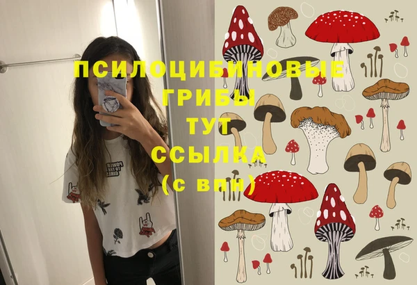дурь Алзамай