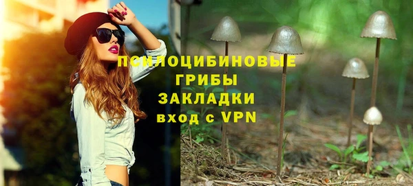 дурь Алзамай