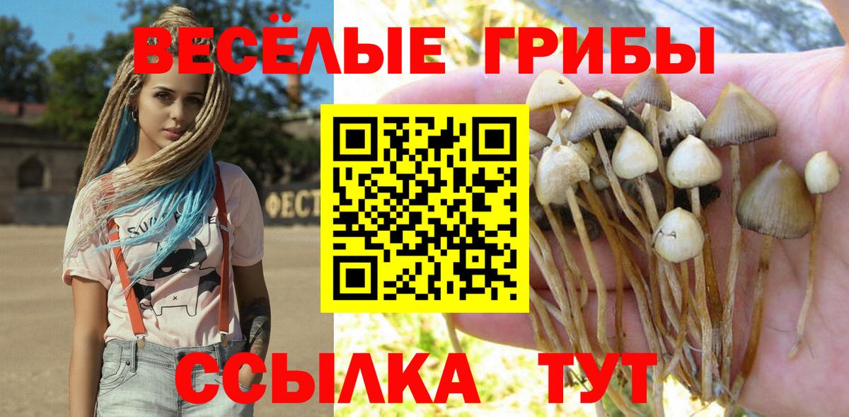 Минусинск  Галлюциногенные грибы мицелий  Вход с VPN  Галлюциногенные грибы MAGIC MUSHROOMS 